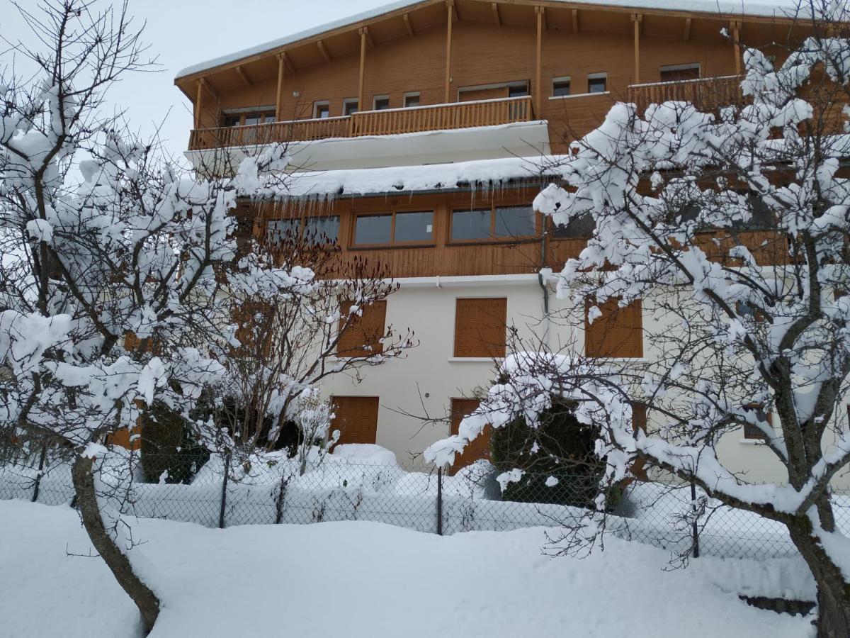 Appartement Rez De Jardin Montee De L'Alpe D'Huez La Garde  Exterior foto